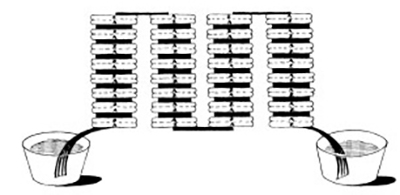 Volta-s-experiments-with-the-electric-battery-in-17962